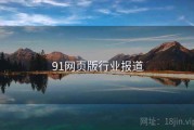 91网页版行业报道