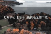 打开9%，打开9.1免费版无需下载