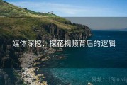 媒体深挖：探花视频背后的逻辑