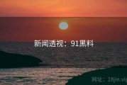新闻透视：91黑料
