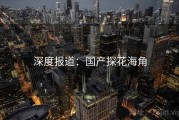 深度报道：国产探花海角