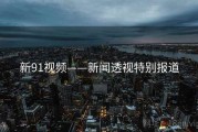 新91视频——新闻透视特别报道