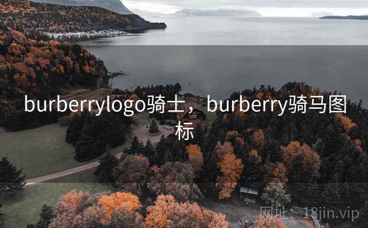 burberrylogo骑士，burberry骑马图标