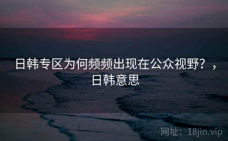 日韩专区为何频频出现在公众视野？，日韩意思