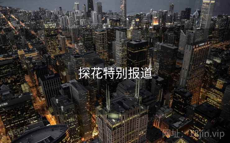 探花特别报道