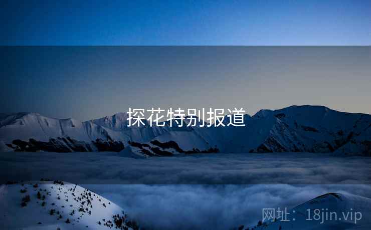 探花特别报道