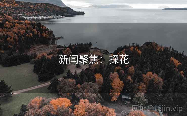 新闻聚焦：探花