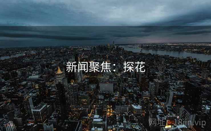 新闻聚焦：探花