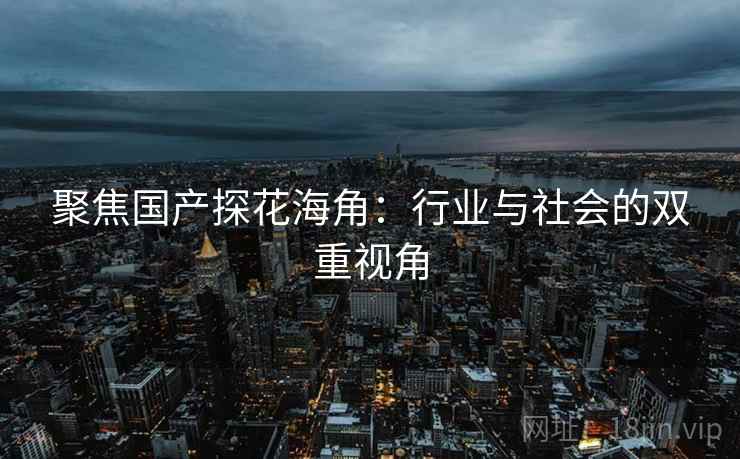 聚焦国产探花海角：行业与社会的双重视角