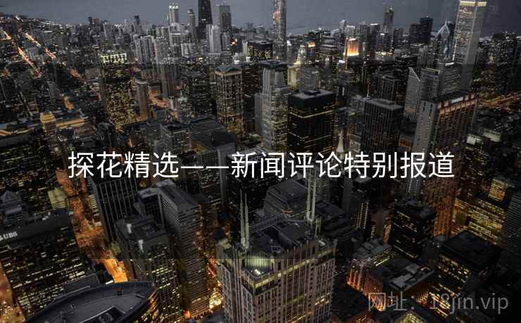 探花精选——新闻评论特别报道