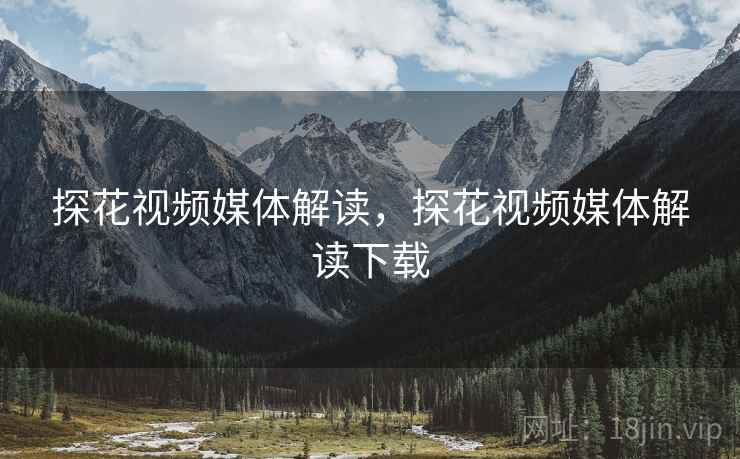 探花视频媒体解读，探花视频媒体解读下载