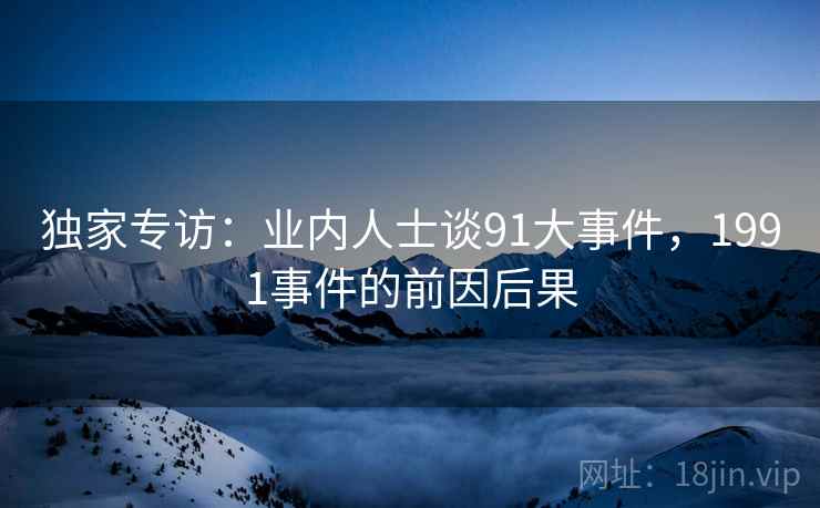 独家专访：业内人士谈91大事件，1991事件的前因后果