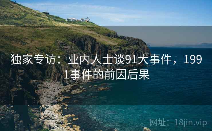 独家专访：业内人士谈91大事件，1991事件的前因后果