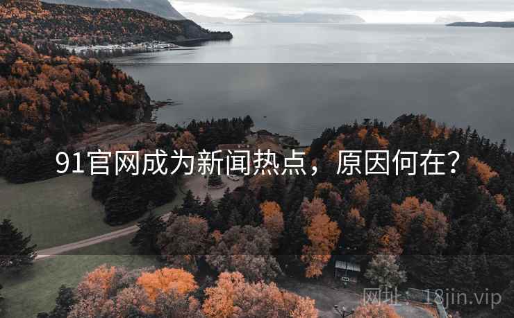 91官网成为新闻热点，原因何在？
