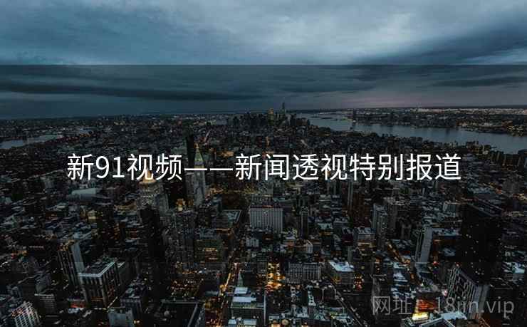 新91视频——新闻透视特别报道