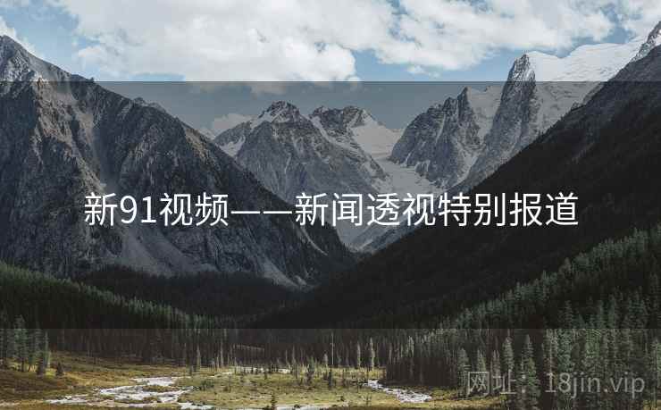 新91视频——新闻透视特别报道