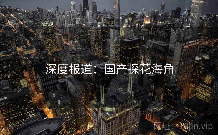深度报道：国产探花海角