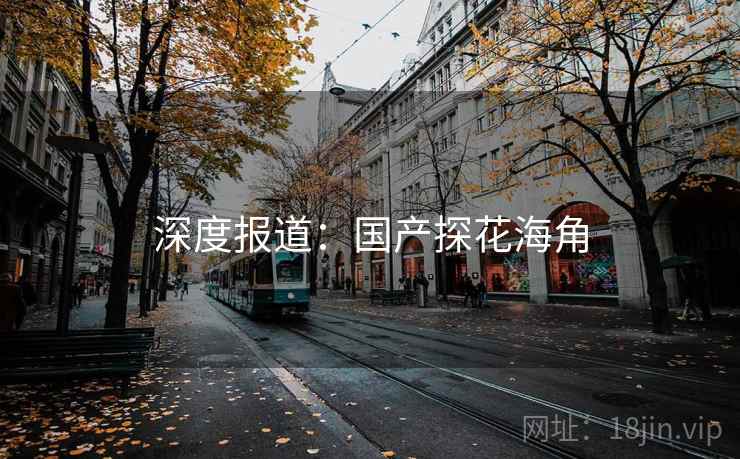 深度报道：国产探花海角