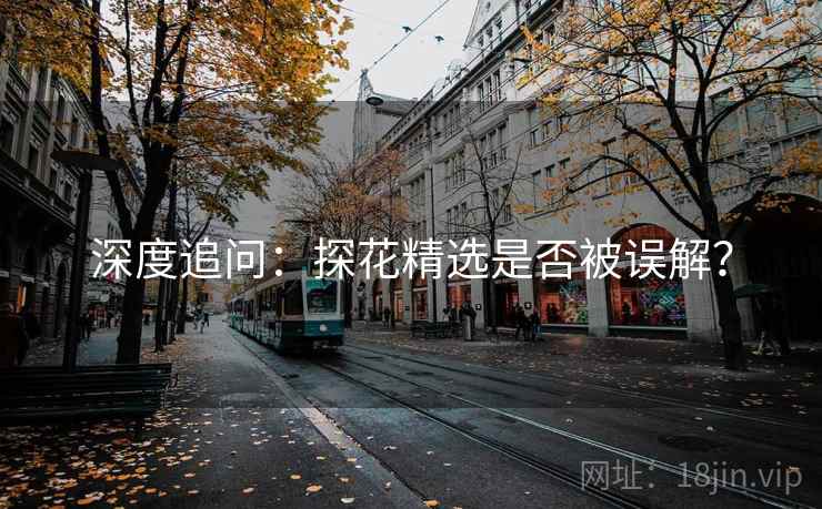 深度追问：探花精选是否被误解？