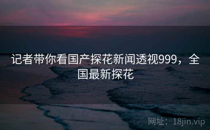 记者带你看国产探花新闻透视999，全国最新探花