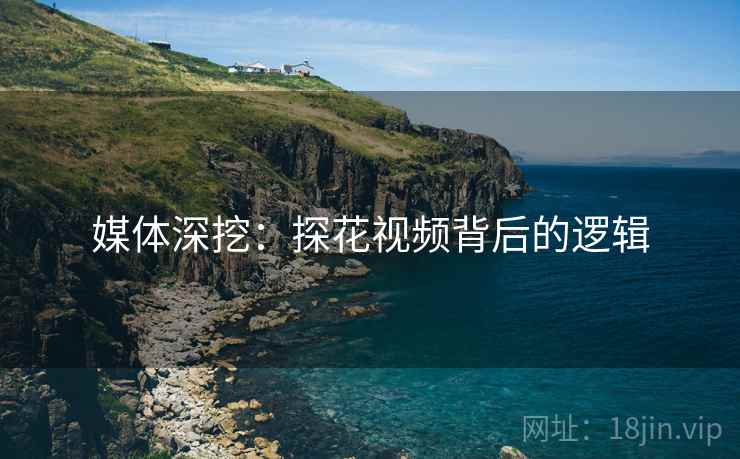 媒体深挖：探花视频背后的逻辑