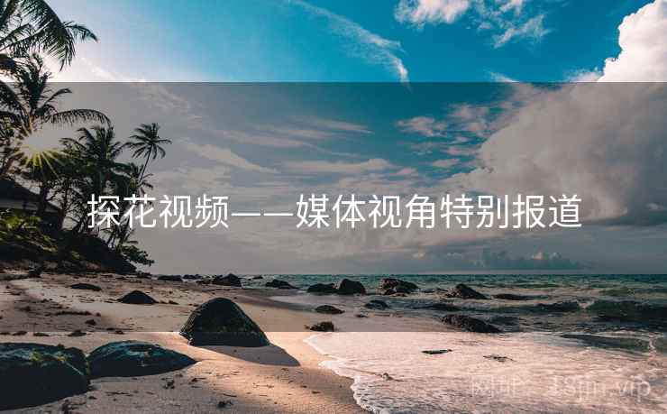 探花视频——媒体视角特别报道