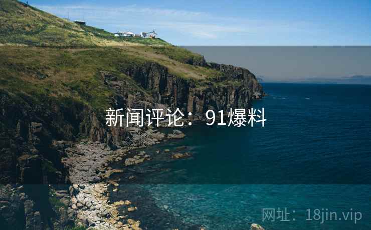 新闻评论：91爆料