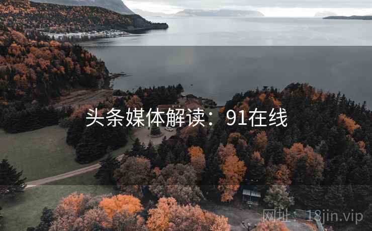 头条媒体解读：91在线