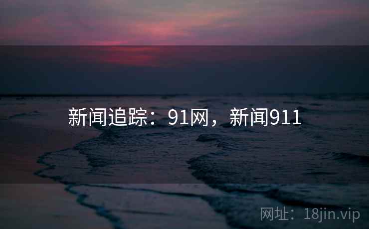 新闻追踪：91网，新闻911